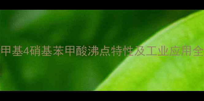 图片 3甲基4硝基苯甲酸沸点特性及工业应用全1.jpg