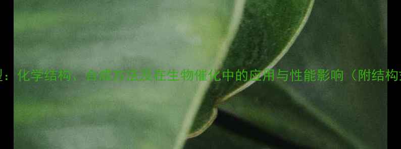 图片 CAS3构型：化学结构、合成方法及在生物催化中的应用与性能影响（附结构式图解）.jpg