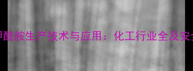 图片 NN2-甲基甲酰胺生产技术与应用：化工行业全及安全操作指南.jpg