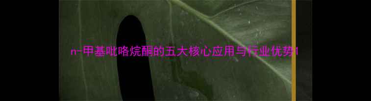 图片 n-甲基吡咯烷酮的五大核心应用与行业优势1.jpg