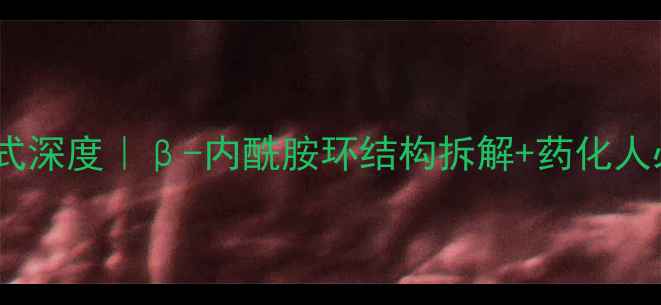 图片 ✨头孢呋辛分子式深度｜β-内酰胺环结构拆解+药化人必存合成指南💊1.jpg