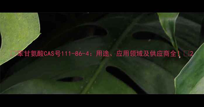 图片 ✨苯甘氨酸CAS号111-86-4：用途、应用领域及供应商全！🔥2.jpg