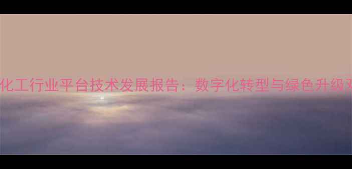 图片 中国石油化工行业平台技术发展报告：数字化转型与绿色升级双轮驱动1.jpg