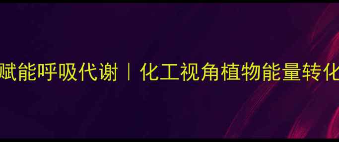图片 主光反应产氢赋能呼吸代谢｜化工视角植物能量转化链的工业应用.jpg