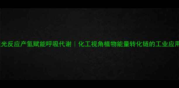 图片 主光反应产氢赋能呼吸代谢｜化工视角植物能量转化链的工业应用1.jpg
