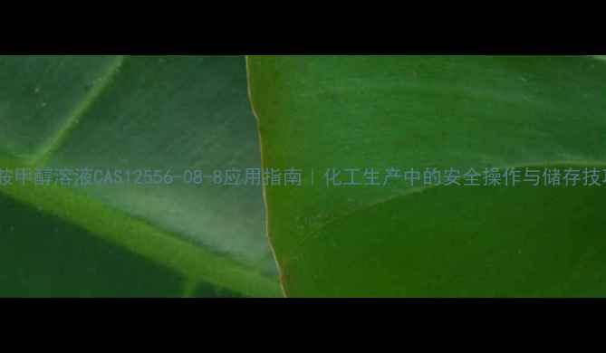 图片 乙胺甲醇溶液CAS12556-08-8应用指南｜化工生产中的安全操作与储存技巧2.jpg