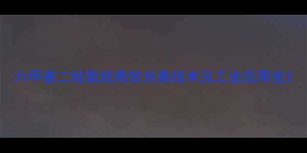 图片 六甲基二硅氧烷高效分离技术及工业应用全2.jpg