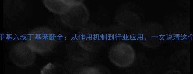 图片 化工新宠｜二甲基六叔丁基苯酚全：从作用机制到行业应用，一文说清这个化工明星材料.jpg