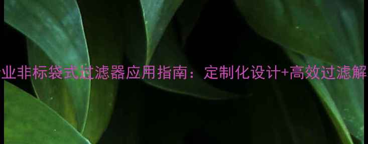 图片 化工行业非标袋式过滤器应用指南：定制化设计+高效过滤解决方案.jpg