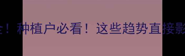 图片 化肥价格波动全！种植户必看！这些趋势直接影响你的钱包💰2.jpg