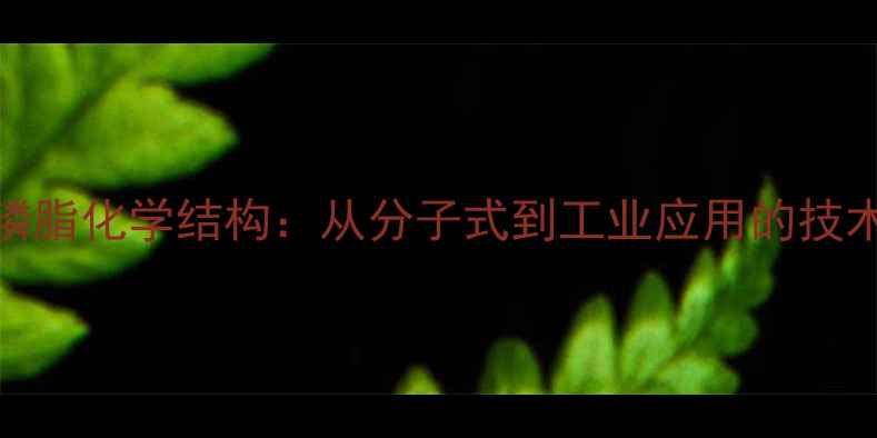 图片 卵磷脂化学结构：从分子式到工业应用的技术全.jpg
