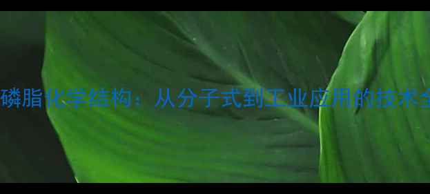 图片 卵磷脂化学结构：从分子式到工业应用的技术全2.jpg