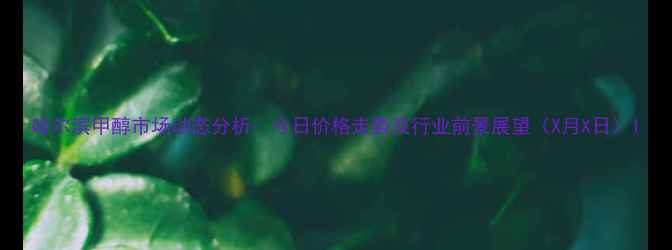 图片 哈尔滨甲醇市场动态分析：今日价格走势及行业前景展望（X月X日）1.jpg