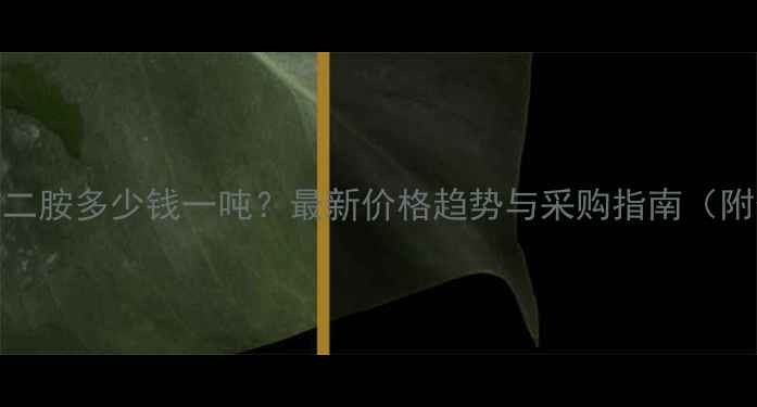 图片 国产二甲基戊二胺多少钱一吨？最新价格趋势与采购指南（附供应商推荐）.jpg