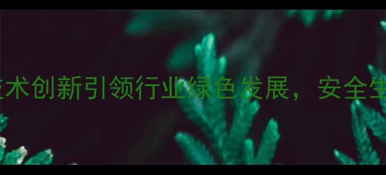 图片 山东沂南振峰化工：环保技术创新引领行业绿色发展，安全生产与高质量发展双轮驱动2.jpg