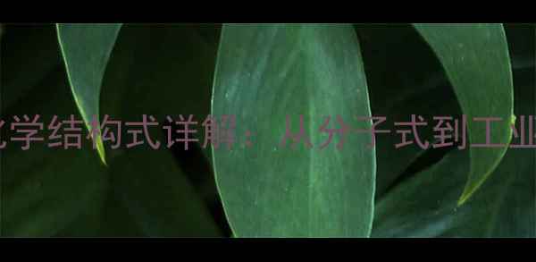 图片 木糖醇化学结构式详解：从分子式到工业应用全2.jpg