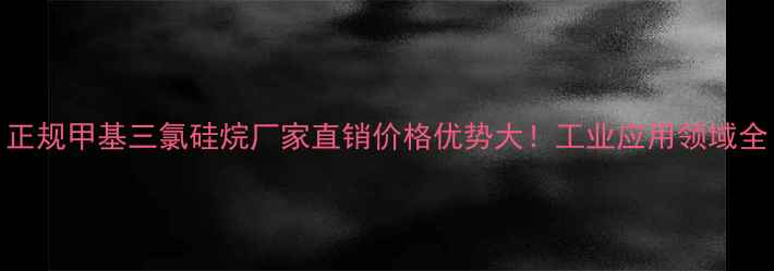 图片 正规甲基三氯硅烷厂家直销价格优势大！工业应用领域全.jpg