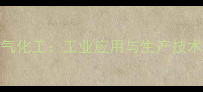图片 氧气化工：工业应用与生产技术全.jpg