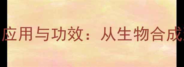 图片 氨基酸在化工领域的应用与功效：从生物合成到工业生产的全流程.jpg