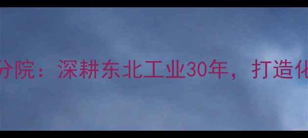 图片 沈阳石油化工设计院分院：深耕东北工业30年，打造化工设计领域标杆品牌.jpg