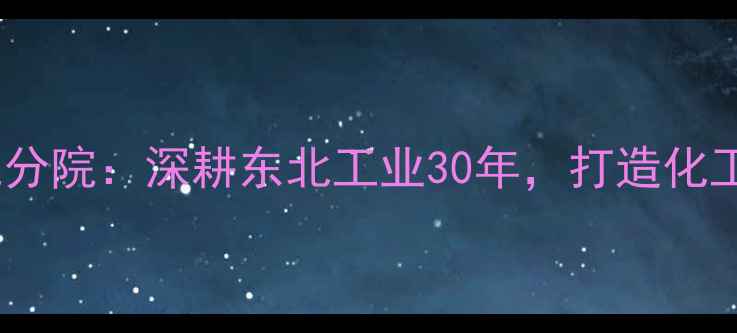 图片 沈阳石油化工设计院分院：深耕东北工业30年，打造化工设计领域标杆品牌2.jpg