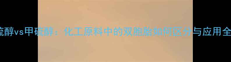 图片 甲基硫醇vs甲硫醇：化工原料中的双胞胎如何区分与应用全攻略1.jpg