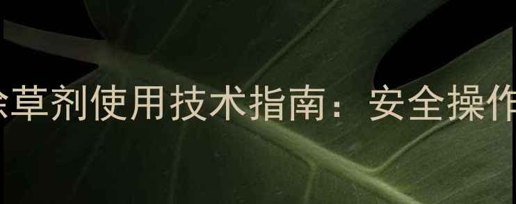 图片 甲基碘磺隆水稻田除草剂使用技术指南：安全操作规范与田间管理全1.jpg