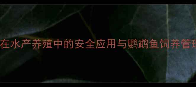 图片 甲基蓝在水产养殖中的安全应用与鹦鹉鱼饲养管理指南2.jpg