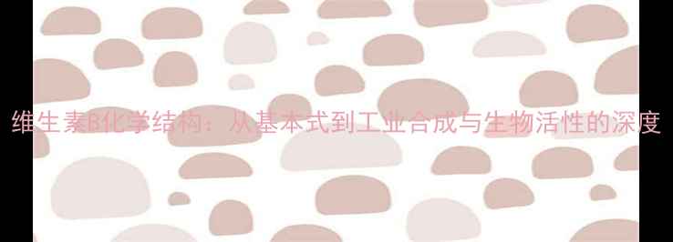 图片 维生素B化学结构：从基本式到工业合成与生物活性的深度.jpg