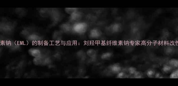 图片 羟甲基纤维素钠（EML）的制备工艺与应用：刘羟甲基纤维素钠专家高分子材料改性关键技术2.jpg