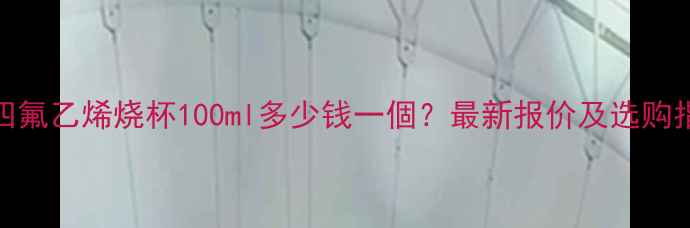 图片 聚四氟乙烯烧杯100ml多少钱一個？最新报价及选购指南.jpg