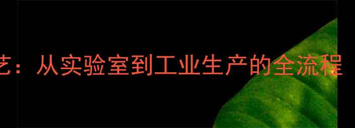 图片 苯制备甲基苯基酮的6大工艺：从实验室到工业生产的全流程（附设备选型与安全指南）1.jpg