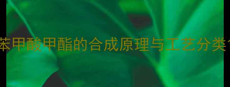 图片 苯甲酸甲酯的合成原理与工艺分类1.jpg