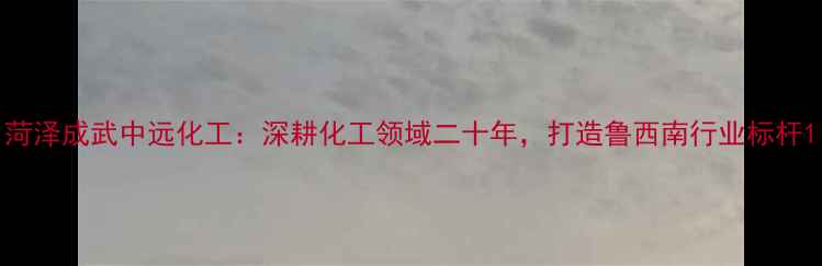 图片 菏泽成武中远化工：深耕化工领域二十年，打造鲁西南行业标杆1.jpg