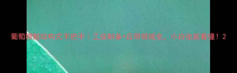 图片 葡萄糖酸结构式手把手｜工业制备+应用领域全，小白也能看懂！2.jpg