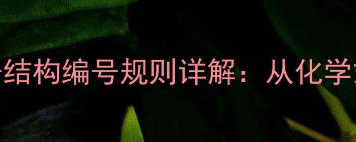 图片 蔗糖分子结构编号规则详解：从化学式到应用.jpg