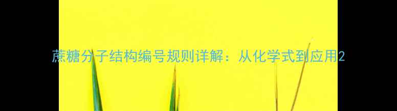 图片 蔗糖分子结构编号规则详解：从化学式到应用2.jpg