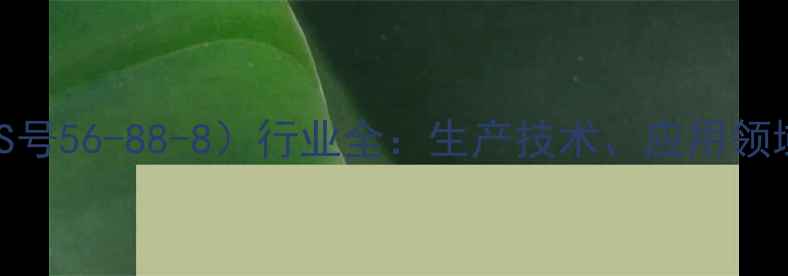 图片 谷氨基酸（CAS号56-88-8）行业全：生产技术、应用领域与市场趋势2.jpg