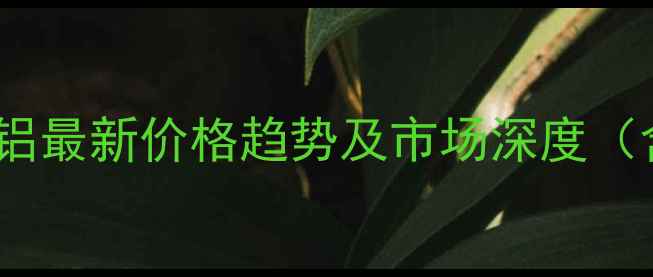 图片 高效聚合氯化铝最新价格趋势及市场深度（含采购指南）1.jpg