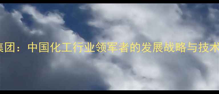 图片 鲁西化工集团：中国化工行业领军者的发展战略与技术创新实践1.jpg