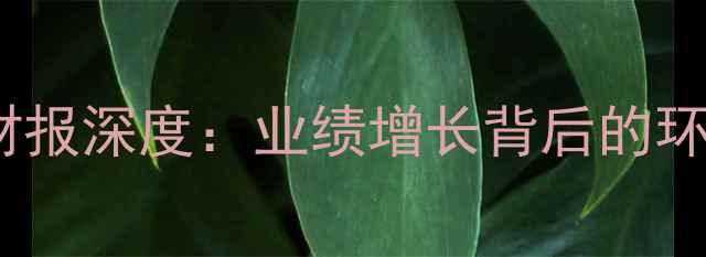 图片 黄山恒远化工财报深度：业绩增长背后的环保新材料战略1.jpg