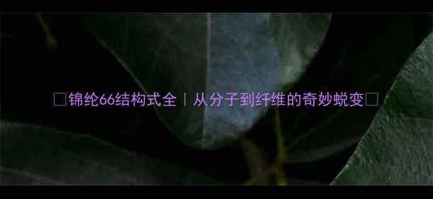 图片 🌟锦纶66结构式全｜从分子到纤维的奇妙蜕变🌟.jpg