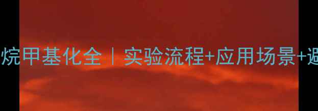 图片 💡胺基碘甲烷甲基化全｜实验流程+应用场景+避坑指南🔬1.jpg