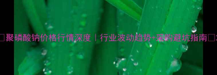 图片 💰聚磷酸钠价格行情深度｜行业波动趋势+采购避坑指南📈2.jpg