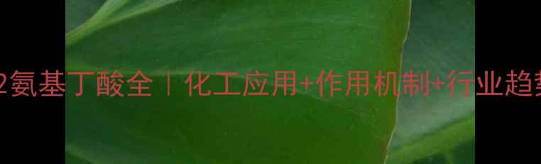 图片 🔍L-2氨基丁酸全｜化工应用+作用机制+行业趋势💊1.jpg