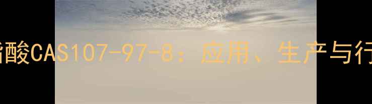 图片 🔍甘油磷脂酸CAS107-97-8：应用、生产与行业指南🔬2.jpg