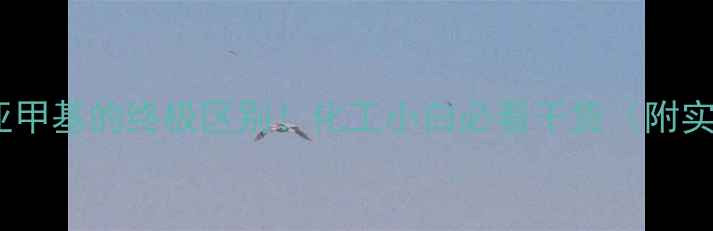 图片 🔥亚甲基与亚甲基的终极区别！化工小白必看干货（附实验对比图）1.jpg