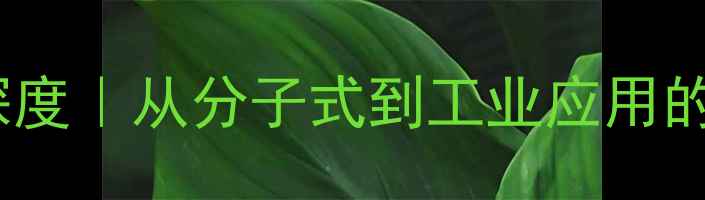 图片 🔬化工必看己二酸结构式深度｜从分子式到工业应用的完整指南（附手绘简图）2.jpg