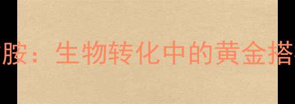 图片 🔬氰钴胺VS羟钴胺：生物转化中的黄金搭档｜工业应用全.jpg